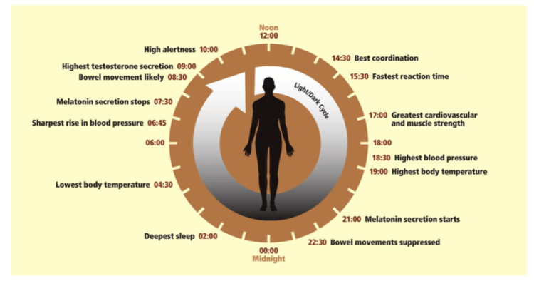 screen-shot-2013-03-30-at-17-09-46